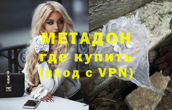 прущие грибы Абаза