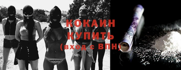 прущие грибы Абаза