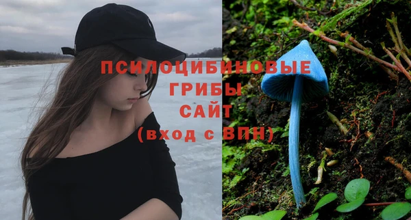 прущие грибы Абаза