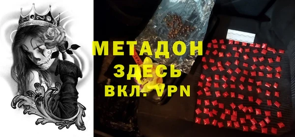 прущие грибы Абаза